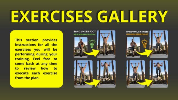 Full Body 4 Week Beginner Calisthenics Workout Program Exercises Gallery Fitfrhome-fitness-coaching-online-fitness-coach-1-on-1-coaching-pdf-training-plans-calisthenics-gym-workouts-united-states